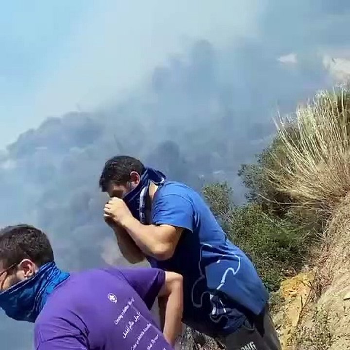 Βασίλης Παλαιολόγος: Το βίντεο με την καμένη γη στο χωριό του ραγίζει καρδιές: ««Ό, τι απέμεινε…»