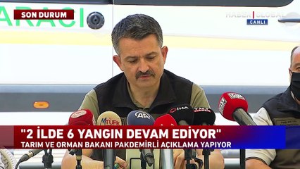 Muğla ve Aydın'da müdahale sürüyor! İşte bölgedeki son durum