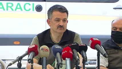 Pakdemirli: "Can güvenliği için de yangın mahalline görevli olmayanların alınmaması durumu son derece olumlu"