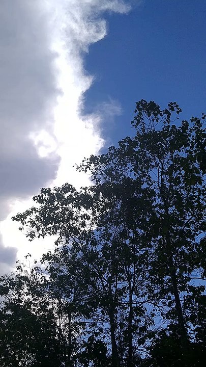 Skies again❤️