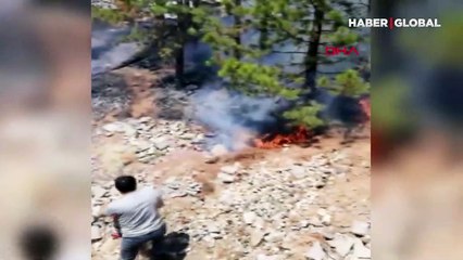 Makinistler treni durdurup orman yangınını söndürdü