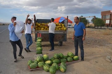 Muş'ta üretilen karpuz ve kavun ilgi görüyor