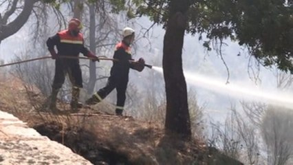 Calculan 900 hectáreas afectadas por el incendio próximo al control en Ávila