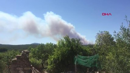 Son dakika gündem: KARABURUN'DA MAKİLİK ALANDA YANGIN