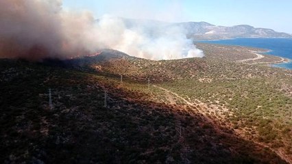 Son dakika haberleri... İzmir'de makilik alan yangınına müdahale sürüyor