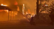 Dünya orman yangınları ile mücadele ediyor