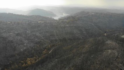 Son dakika haberleri! Manavgat'taki yangında zarar gören alanlar havadan görüntülendi