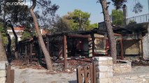 Grecia | En la zona cero de los incendios que arrasan los suburbios de Atenas