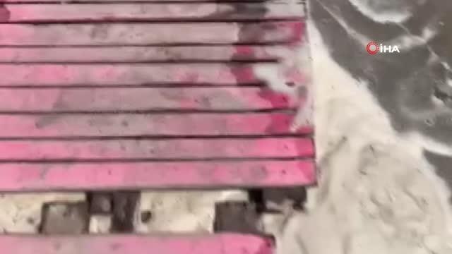 Datça sahilinde tedirgin eden görüntü