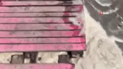 Datça sahilinde tedirgin eden görüntü