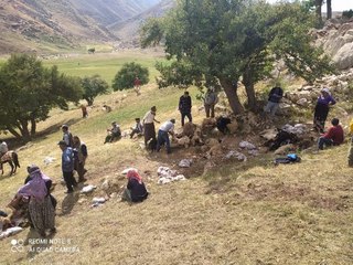 YÜKSEKOVA'DA YILDIRIM İSABET EDEN 30 KOYUN ÖLDÜ