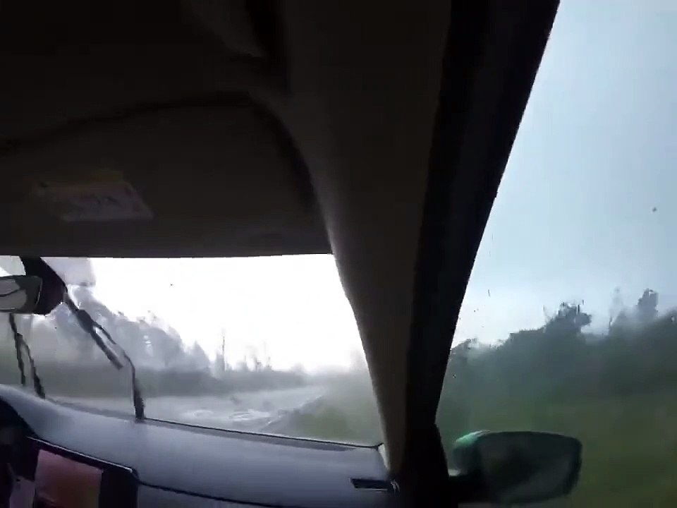 Quand tous les arbres en bord de route chutent en même temps... terrifiant