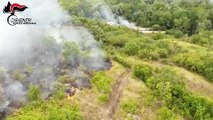 Incendi, piromane arrestato grazie alle telecamere introdotte dai Carabinieri a Montesarchio