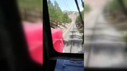 Son dakika! Tren makinistleri ormanlık alandaki yangına treni durdurup müdahale etti