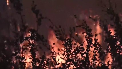 لهيب الحرائق يحول أبرد بقعة في العالم بروسيا إلى أسخن منطقة