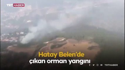 Hatay'da çıkan orman yangını kontrol altında