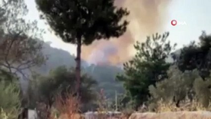 Seydikemer’de orman yangını başladı
