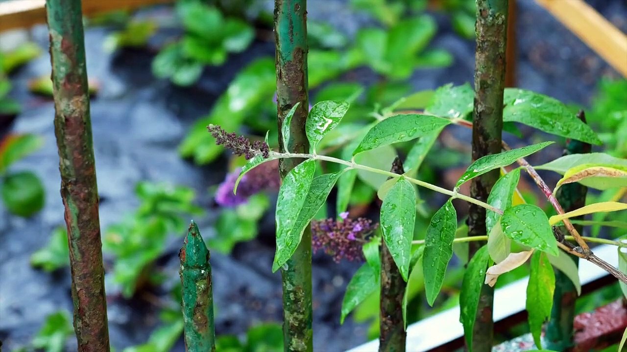 Relaxing Music & Rain Sounds - Beautiful Piano Music, Background Music, Sleep Music • You & Me rain