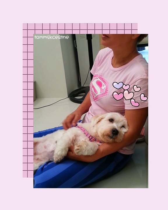 Clingy Baby Potchie 