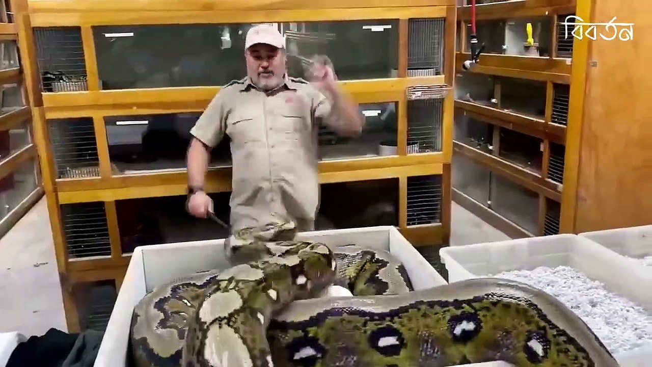 ক্যামেরায় রেকর্ড না হলে বিশ্বাস করতেন না আপনিও