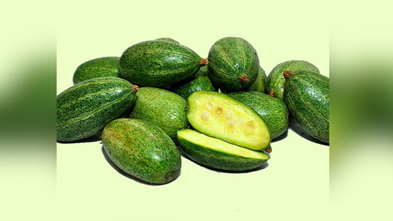 परवल खाने के नुकसान । परवल खाना इन लोगों के लिए हो सकता है खतरनाक,कर सकता है हालत खराब । Boldsky