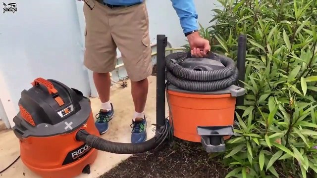 আপনার ঘরে AC থাকলে জানালা এখনই বন্ধ করুন... Animal Invasions at Home