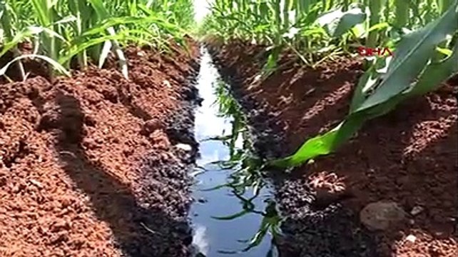 Şanlıurfa'da boru hattı delindi; ham petrol metrelerce fışkırdı