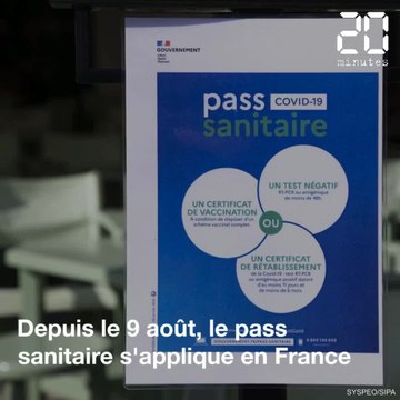 Coronavirus: Quels pays ont aussi mis en place un pass sanitaire ?