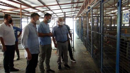 TVHB Başkanı Eroğlu: "Manavgat'ta yaralı hayvanların tedavisi devam ediyor"