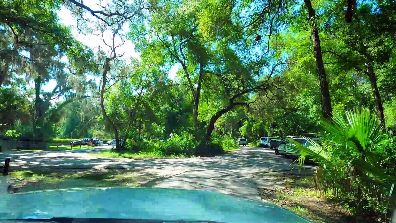 Wekiwa Springs  State Park in Florida, Walking and Underwater Swimming