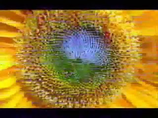 Giannis Ploutarxos - Maria (2011)