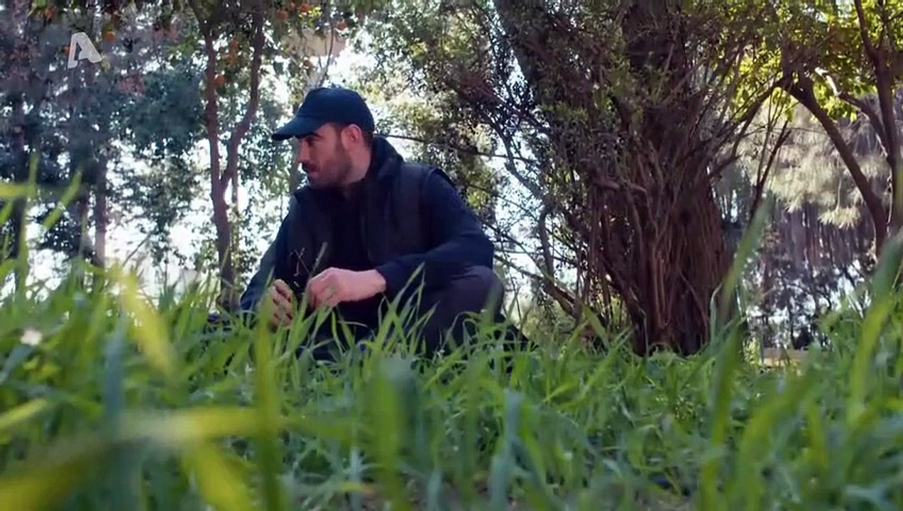 Το τατουάζ – 2ος Κύκλος – Επεισόδιο 242