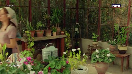 مسلسل "مرارة الحب"الجزء الثالث الحلقة 280