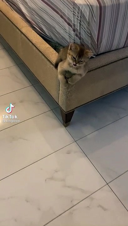 حدا يطالعنيييي