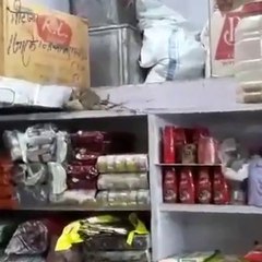 Big rat fight in a grocery store.