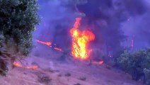 Fim de semana sob fogo. Gréscia, Turquia e Rússia combatem incêndios devastadores