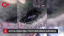 Bingöl’de kuyuya düşen eşek itfaiye ekiplerince kurtarıldı