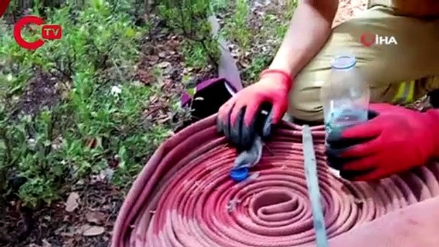 Orman yangınından etkilenen kuşa böyle su içirdi