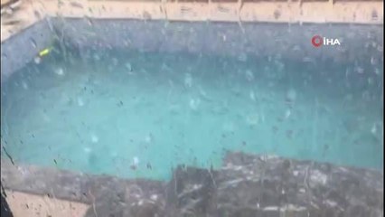 Erzincan'da dolu yağışı sebze ve meyveyi vurdu