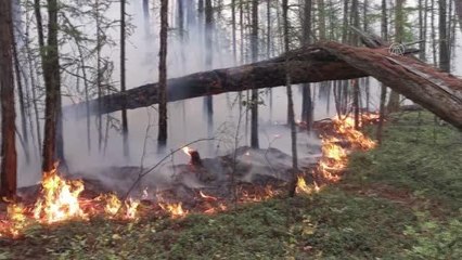 Rusya'daki orman yangınları