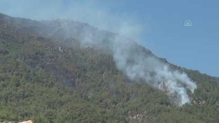 Son dakika! Çine'deki orman yangınını söndürme çalışmaları sürüyor