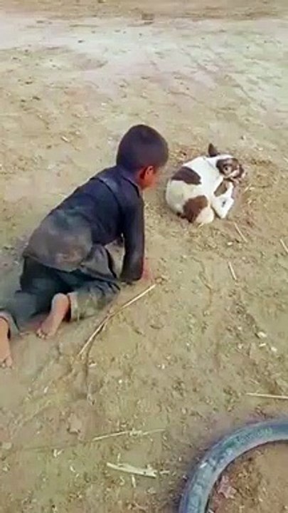 Hahaha dog ko Dara dea so funny video 