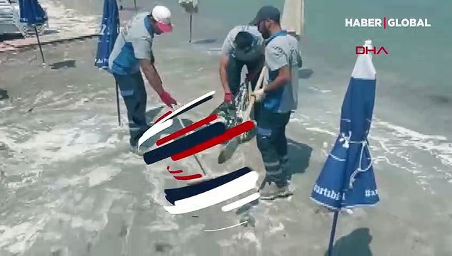 Datça sahilinde tedirgin eden görüntü! Ne olduğu ve nereden geldiği bilinmiyor