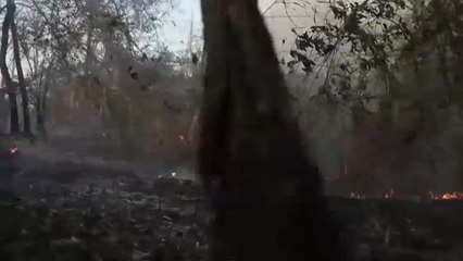 Las llamas vuleven a quemar Mato Groso, en Brasil