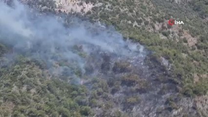 Bir yangın da Dalaman'da başladı