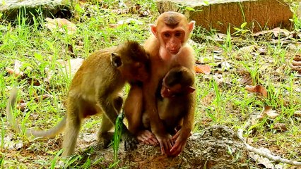 14=4643= Billion Love After Separation Sovana& Baby Ronnie Very Sweet