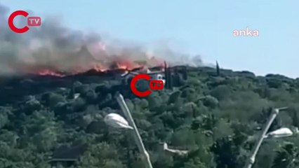 Muğla Datça'da orman yangını