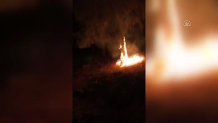 ŞANLIURFA - Suriyeli gencin dikkati ağaçlık alanın yanmasını önledi