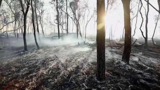 Un altro anno nero per gli incendi in Brasile