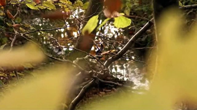 Ekspedition Syd | Stouby | 21-12-2010 | TV SYD @ TV2 Danmark